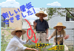 Info-hu-r7-08-19のサムネイル