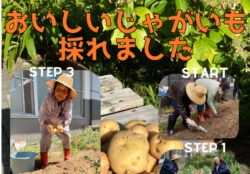 Info-hu-r7-09-05のサムネイル
